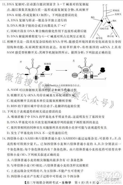 湖北省部分市州2023年元月高三年级联合调研考试生物试卷答案