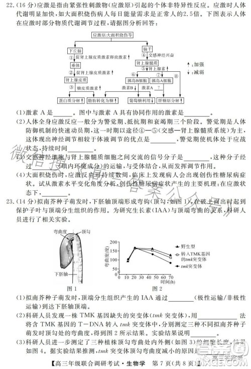 湖北省部分市州2023年元月高三年级联合调研考试生物试卷答案 湖北省部分市州2023年元月高三年级联合调研考试生物试卷答案