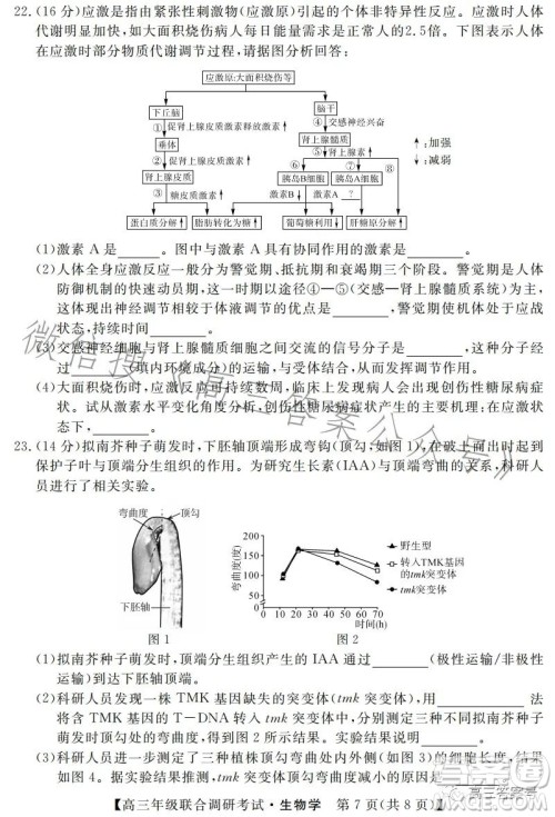 湖北省部分市州2023年元月高三年级联合调研考试生物试卷答案