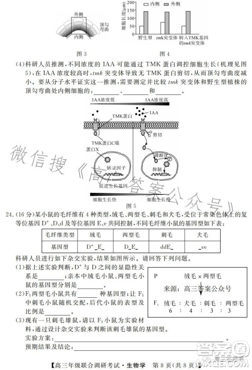 湖北省部分市州2023年元月高三年级联合调研考试生物试卷答案 湖北省部分市州2023年元月高三年级联合调研考试生物试卷答案
