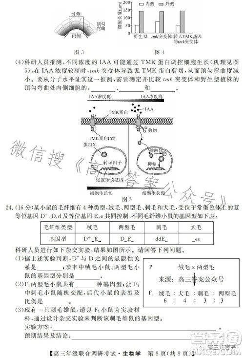 湖北省部分市州2023年元月高三年级联合调研考试生物试卷答案