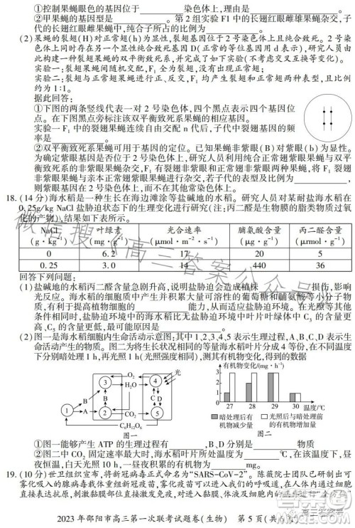 2023年邵阳市高三第一次联考试题卷生物试卷答案 2023年邵阳市高三第一次联考试题卷生物试卷答案