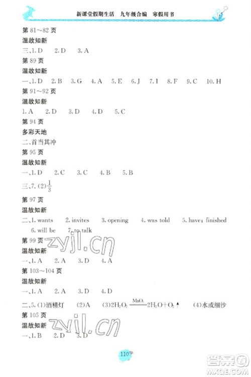 北京教育出版社2023新课堂假期生活寒假用书九年级合编通用版参考答案