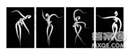 最近网友用几颗麦芽拼出了惟妙惟肖的舞者形象材料作文800字