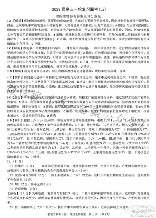 百师联盟2023届高三一轮复习联考五理科综合试卷答案