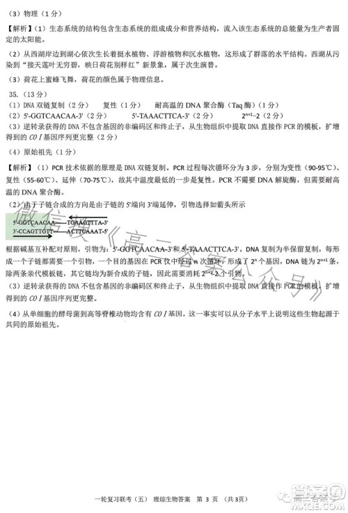 百师联盟2023届高三一轮复习联考五理科综合试卷答案 百师联盟2023届高三一轮复习联考五理科综合试卷答案