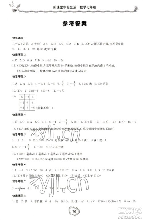 北京教育出版社2023新课堂寒假生活七年级数学人教版参考答案