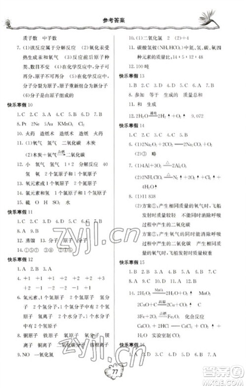 北京教育出版社2023新课堂寒假生活九年级化学人教版参考答案