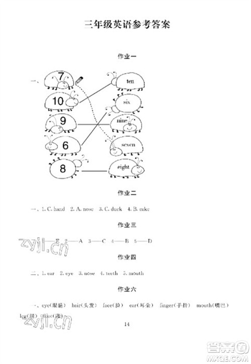 湖南少年儿童出版社2023寒假生活三年级合订本通用版参考答案