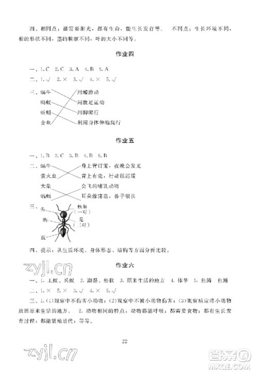 湖南少年儿童出版社2023寒假生活三年级合订本通用版参考答案