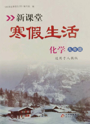 北京教育出版社2023新课堂寒假生活九年级化学人教版参考答案