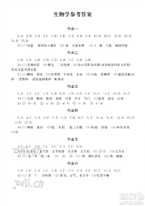 湖南少年儿童出版社2023寒假生活八年级副科合订本通用版参考答案