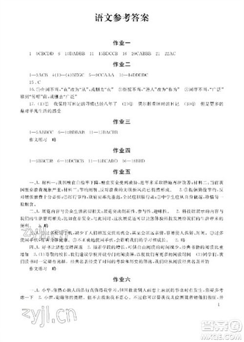 湖南少年儿童出版社2023寒假生活九年级主科合订本通用版参考答案