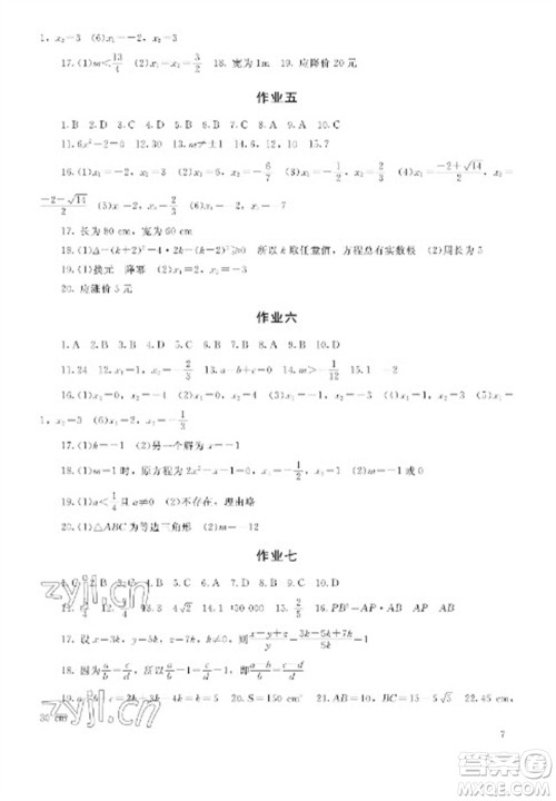 湖南少年儿童出版社2023寒假生活九年级主科合订本通用版参考答案