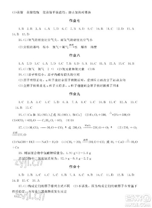 湖南少年儿童出版社2023寒假生活九年级副科合订本通用版参考答案