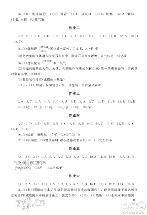 湖南少年儿童出版社2023寒假生活九年级副科合订本通用版参考答案