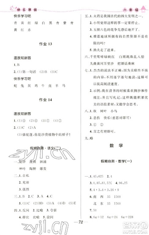 河北少年儿童出版社2023赢在起跑线快乐寒假六年级合订本通用版福建专版参考答案