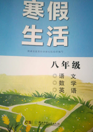 湖南少年儿童出版社2023寒假生活八年级主科合订本通用版参考答案