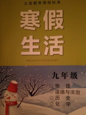 湖南少年儿童出版社2023寒假生活九年级副科合订本通用版参考答案