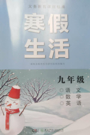 湖南少年儿童出版社2023寒假生活九年级主科合订本通用版参考答案