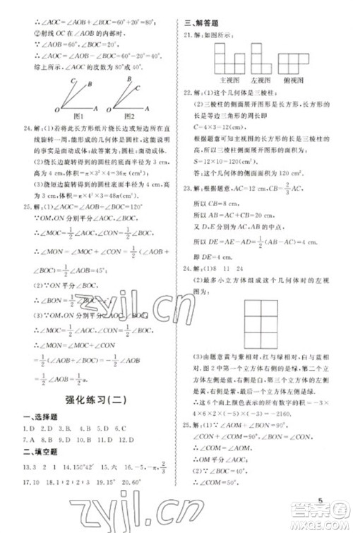 天津教育出版社2023寒假课程练习七年级数学人教版参考答案