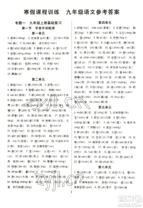 天津教育出版社2023寒假课程练习九年级语文人教版参考答案 天津教育出版社2023寒假课程练习九年级语文人教版参考答案