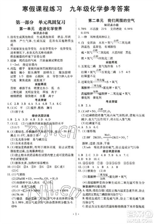 天津教育出版社2023寒假课程练习九年级化学人教版参考答案