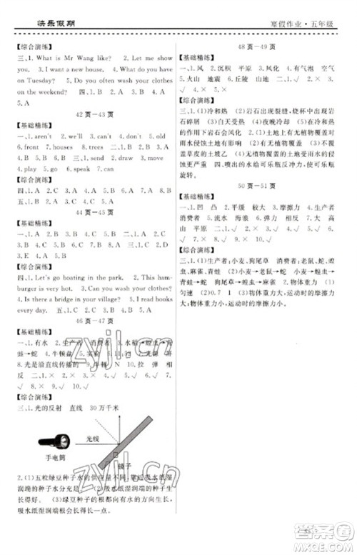 宁波出版社2023快乐假期寒假作业五年级合订本通用版参考答案 宁波出版社2023快乐假期寒假作业五年级合订本通用版参考答案