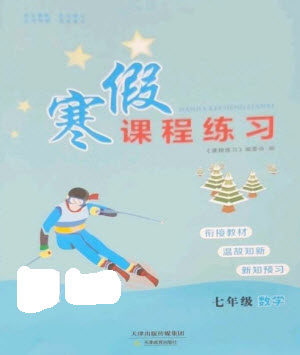 天津教育出版社2023寒假课程练习七年级数学人教版参考答案
