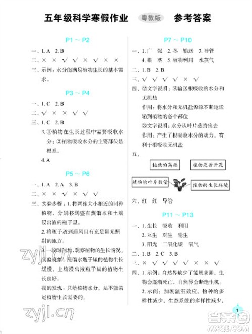 长江少年儿童出版社2023寒假作业五年级科学粤教版参考答案 长江少年儿童出版社2023寒假作业五年级科学粤教版参考答案