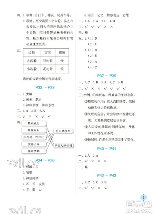 长江少年儿童出版社2023寒假作业六年级科学粤教版参考答案