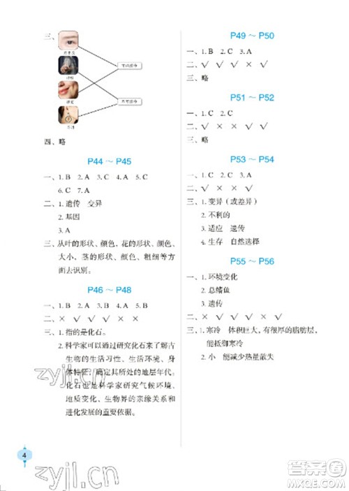 长江少年儿童出版社2023寒假作业六年级科学粤教版参考答案