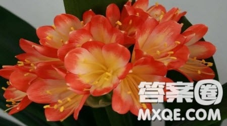 这么做我无憾记叙文作文600字 关于这么做我无憾的记叙文作文600字 这么做我无憾记叙文作文600字 关于这么做我无憾的记叙文作文600字