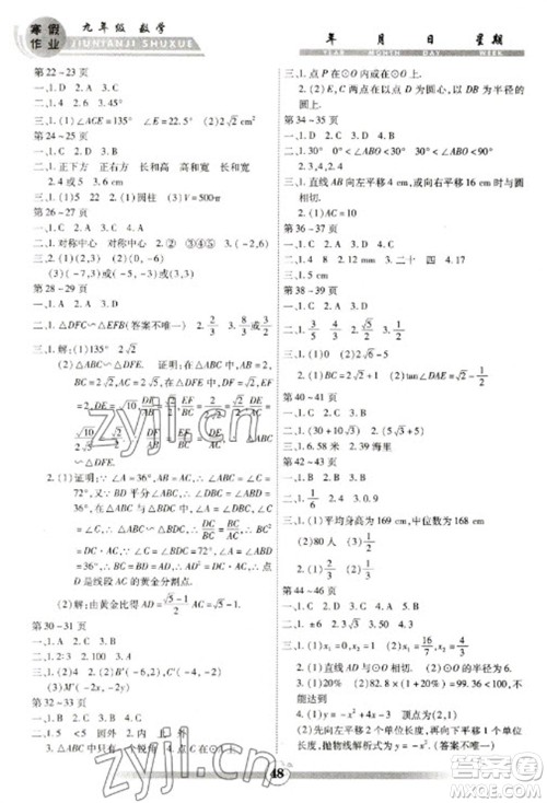 云南科技出版社2023智趣寒假作业九年级数学人教版参考答案