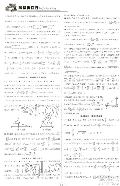 合肥工业大学出版社2023假期伴你行寒假复习计划九年级数学沪科版参考答案