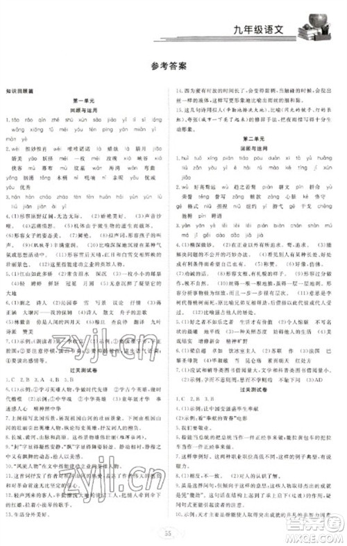 合肥工业大学出版社2023假期伴你行寒假复习计划九年级语文通用版参考答案