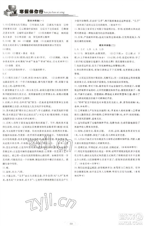 合肥工业大学出版社2023假期伴你行寒假复习计划九年级语文通用版参考答案