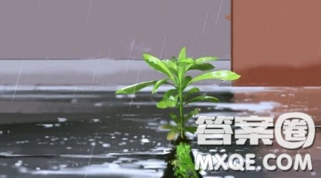 秋天的雨为题作文600字 关于秋天的雨为题目的作文600字