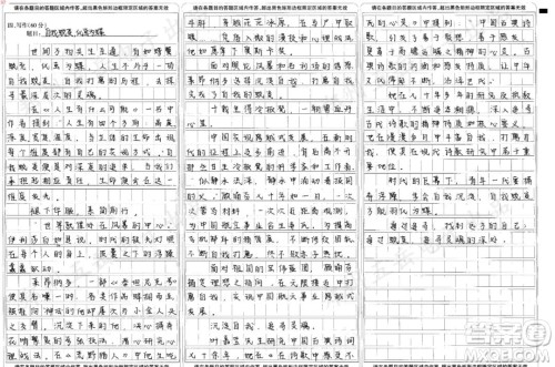 庞余亮小先生材料作文800字 关于庞余亮小先生的材料作文800字