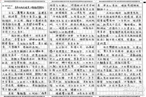 庞余亮小先生材料作文800字 关于庞余亮小先生的材料作文800字