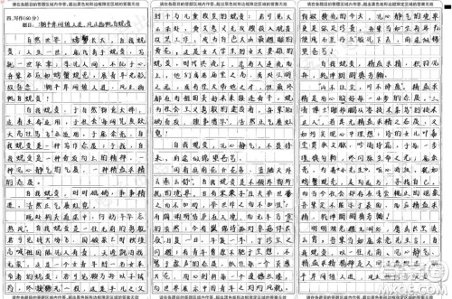 庞余亮小先生材料作文800字 关于庞余亮小先生的材料作文800字