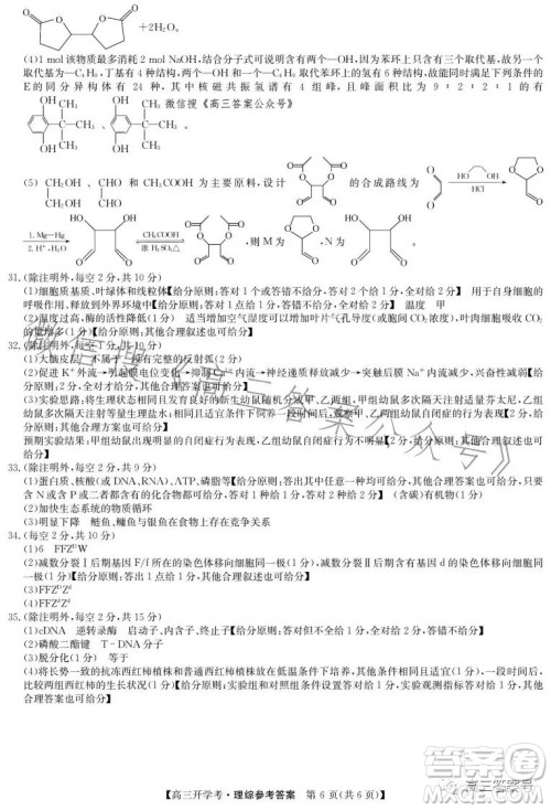 2023年九师联盟高三开学考新高考理科综合答案