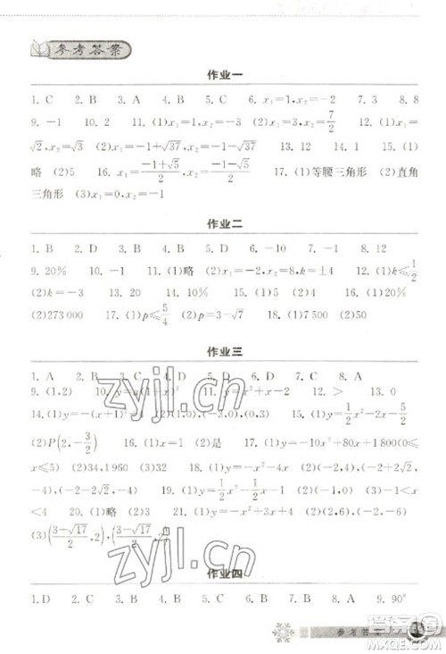 湖北教育出版社2023长江作业本寒假作业九年级数学人教版参考答案