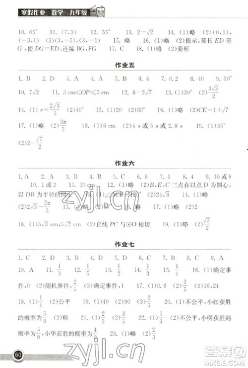 湖北教育出版社2023长江作业本寒假作业九年级数学人教版参考答案