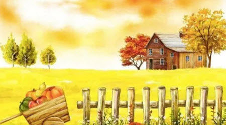 花间的风景作文600字 以花间的风景为题作文600字