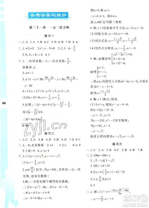 陕西人民教育出版社2023寒假作业与生活九年级数学人教版A版参考答案