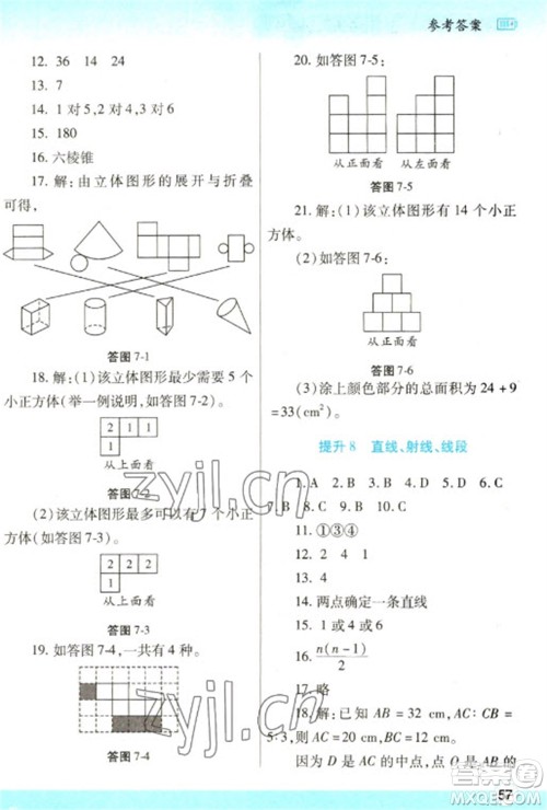 陕西师范大学出版总社2023寒假作业与生活七年级数学人教版参考答案