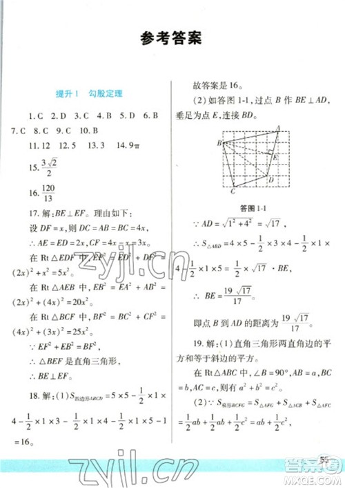 陕西师范大学出版总社2023寒假作业与生活八年级数学北师大版参考答案