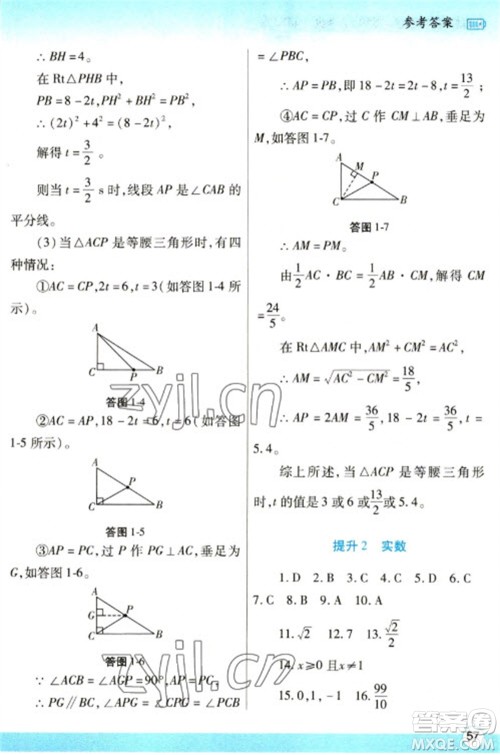 陕西师范大学出版总社2023寒假作业与生活八年级数学北师大版参考答案