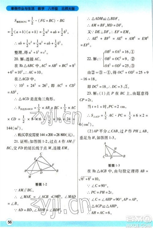 陕西师范大学出版总社2023寒假作业与生活八年级数学北师大版参考答案